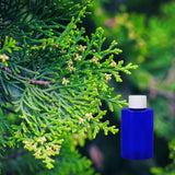 Balsam & Cedar 100 ml for ScentNote