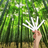 Bamboo Forest