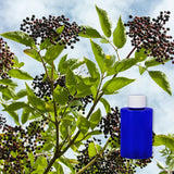Black Elderwood 100 ml for ScentNote