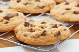 Chocolate Chip Cookie 270 ml for ScentVox