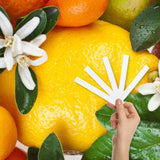 Citrus Blend