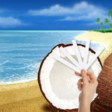 Coconut Beach