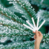 Evergreen Bark