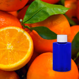 Florida Orange Grove