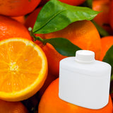 Florida Orange Grove