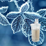 Jack Frost