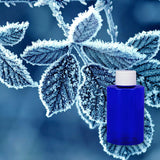 Jack Frost