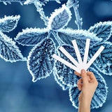 Jack Frost