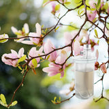Magnolia Orange Blossom