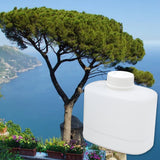 Mediterranean Breeze