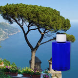 Mediterranean Breeze