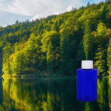 Northern Lake Air