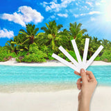 Tropical Paradise