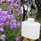 Verbena and Oakmoss