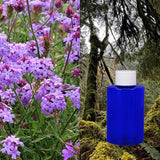 Verbena and Oakmoss