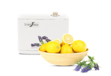 ScentBeat Scent Delivery Unit + 150 ml Lemon Lavender Cartridge