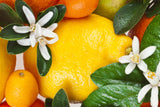 Citrus Blend 270 ml for ScentVox