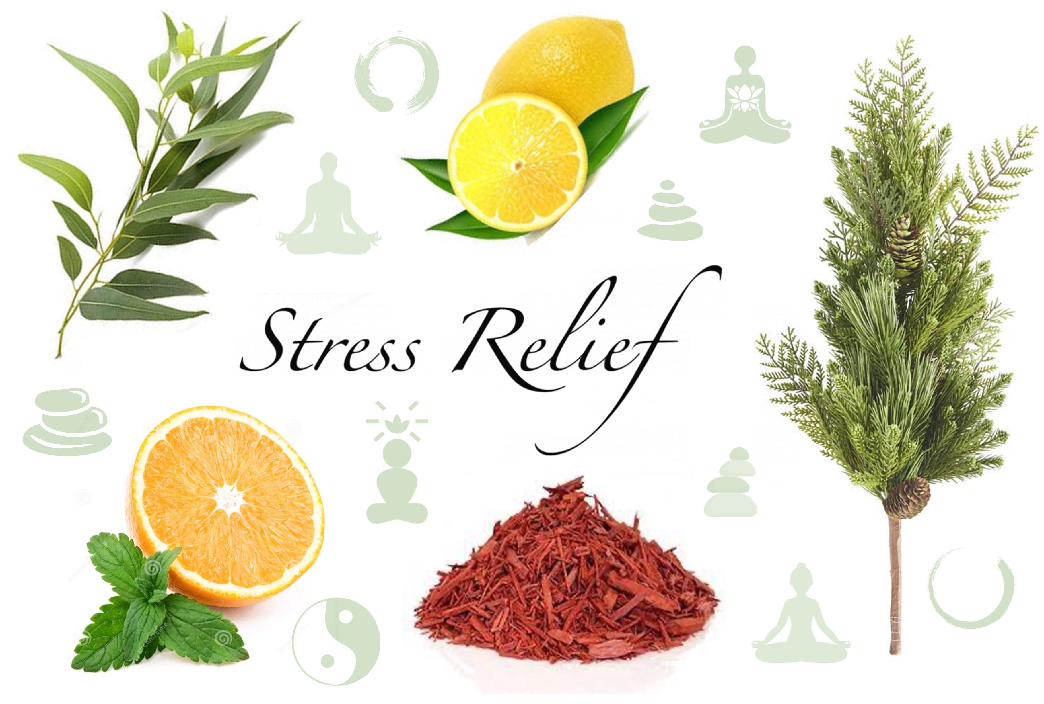 Stress Relief 120 ml for ScentFit